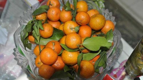 Цитрусовые из Китая под запретом