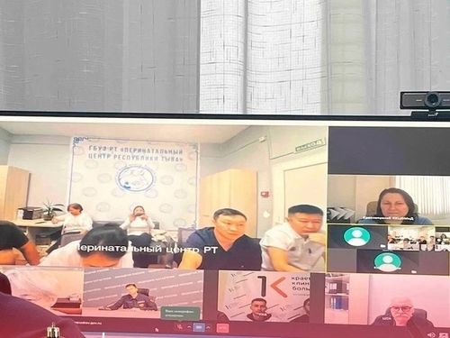 В 2024 году врачи Тувы провели более 1500 телемедицинских консультаций