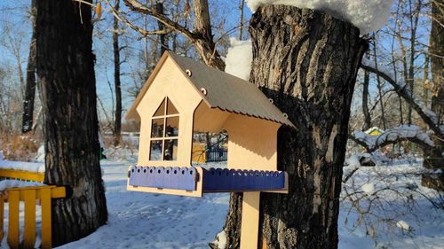 В столице Тувы появились «кафе для птиц»