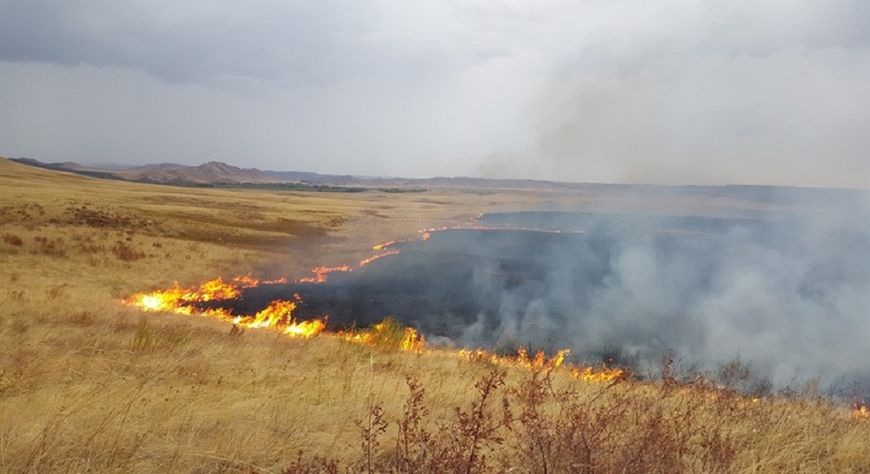 С начала пожароопасного сезона в Туве зарегистрировали восемь степных пожаров