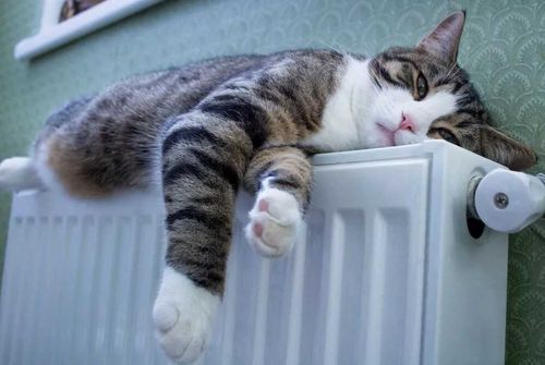 В Туве отопительный сезон проходит в штатном режиме