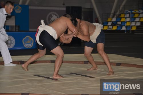 В столице Тувы проходят Международные соревнования «Кубок центра Азии» по сумо среди мужчин