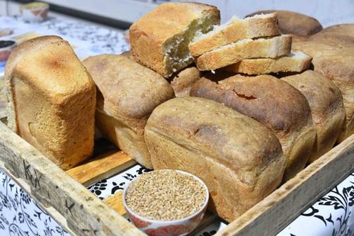 Глава Тувы: «Санников сказал – Санников сделал!»