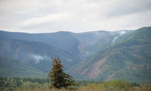 В лесах Тувы вернули режим ЧС. Об этом в социальных сетях сообщил Глава региона Владислав Ховалыг