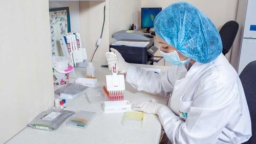 Режим работы лабораторий для сдачи ПЦР-анализа и ИФА