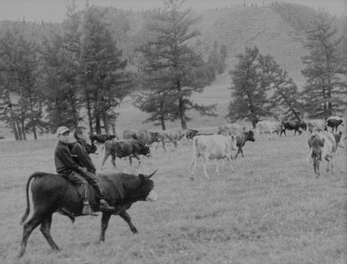 «… Девять видов скота выращу я, сыт и одет буду я»