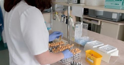 ЧЕМГЕ ХОРАННАНГАН УРУГЛАРНЫҢ САНЫ 81 ЧЕТКЕН