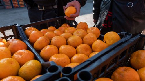 Дефицита мандаринов в России на Новый год не будет