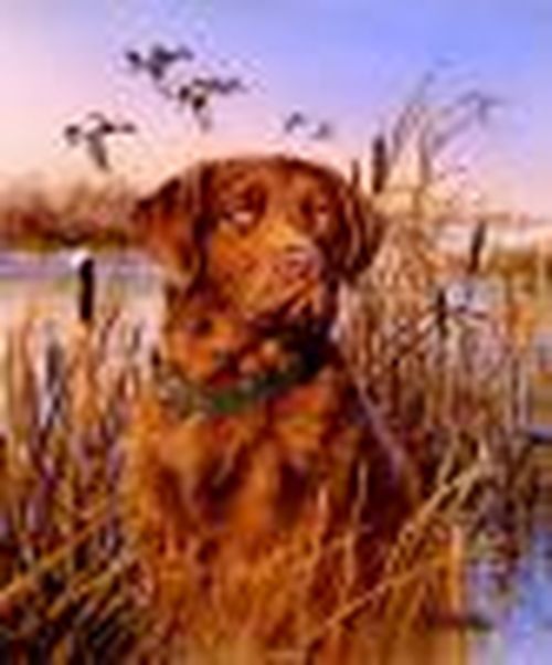 УВАЖАЕМЫЕ ОХОТНИКИ!