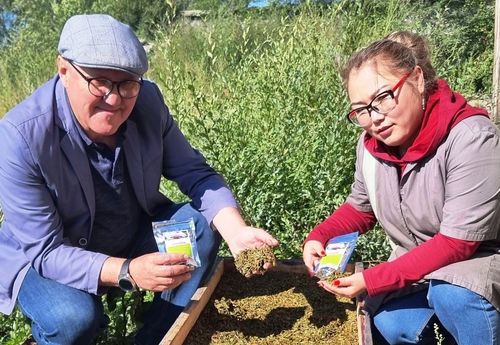 Тывага бүдүрген: «Вавиол»