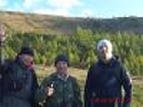 Начало положено