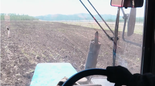 Проверка на прочность людей и… семян