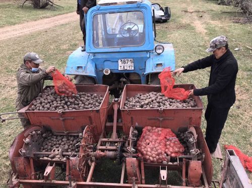 Тувинские депутаты посадили картошку для нуждающихся семей