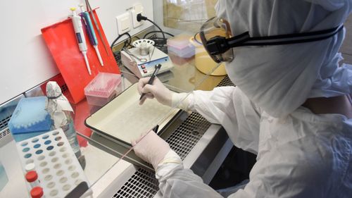 В Туве выявили еще 190 случаев COVID-19 