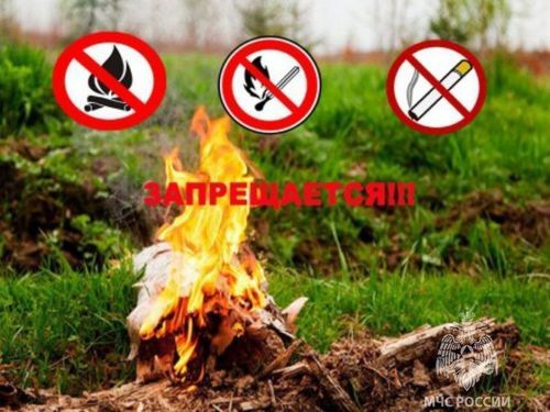 В Туве сняли режима ЧС в лесах, сообщает ГУ МЧС России по Туве