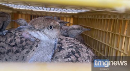 Из Центра шейха Халифы -  в Туву