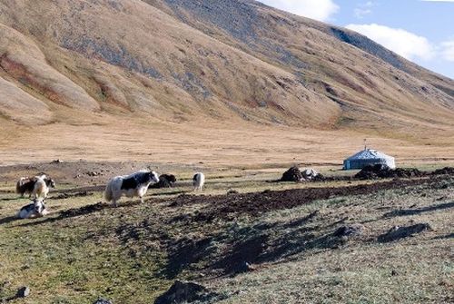 ГЛАВА ТУВЫ ПОРУЧИЛ РЕАЛИЗОВАТЬ КОМПЛЕКС МЕР ПО БОРЬБЕ С БУБОННОЙ ЧУМОЙ