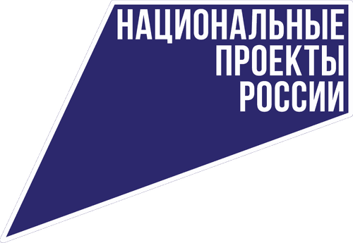 Тува сохраняет лидерство по кассовому исполнению национальных проектов