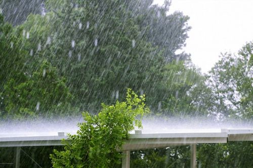 Погода в Туве: синоптики спрогнозировали сильный дождь и ветер