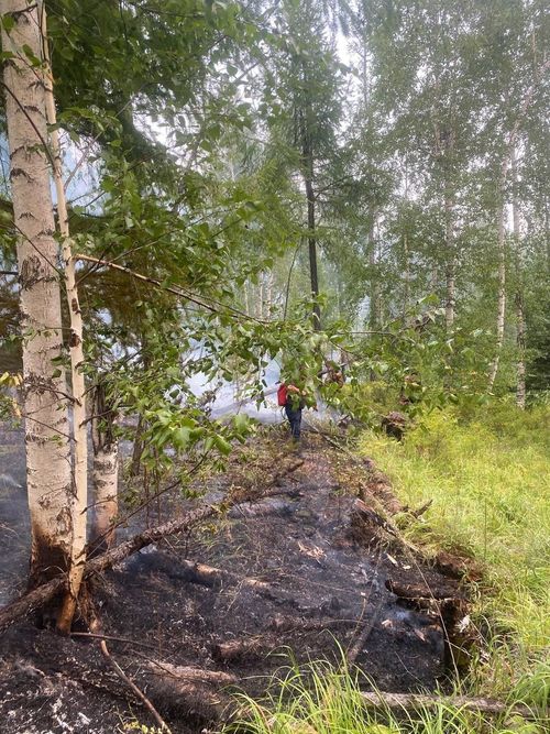 Оперативная сводка по пожарам в Туве на 25 августа