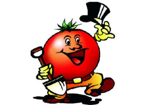 Синьор Помидор