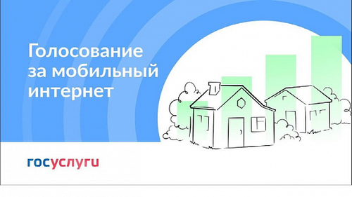 Завершается голосование за подключение к интернету малых населенных пунктов