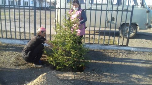 КАЖДОМУ ВОИНУ - ДЕРЕВО ПАМЯТИ