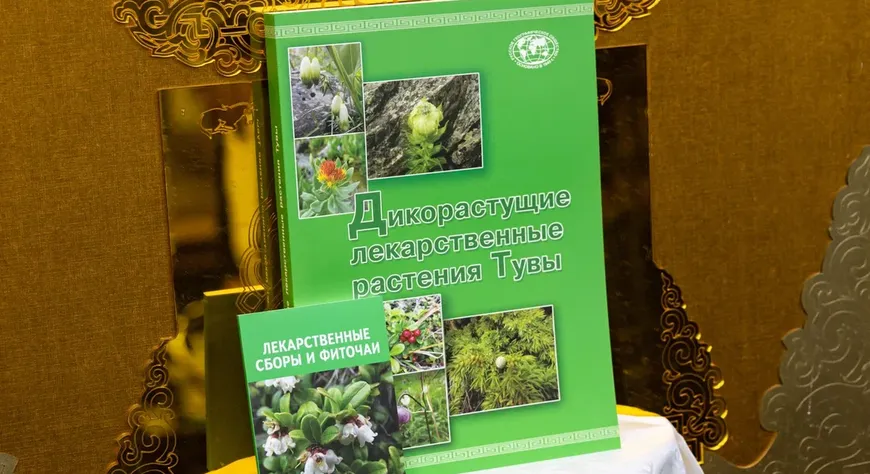 Күжүгет Шойгу аттыг культурлуг фондунуң ажылдары