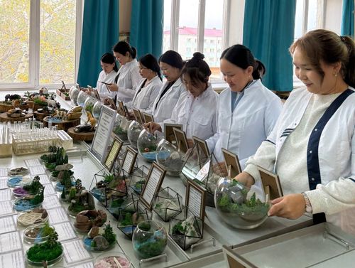 Проект студентки ТувГУ «Природные чудеса России» в премии «Больше, чем путешествие»