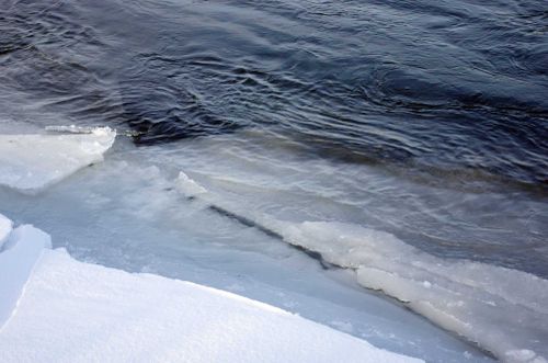 В Туве мужчина во время выпаса скота провалился под лед