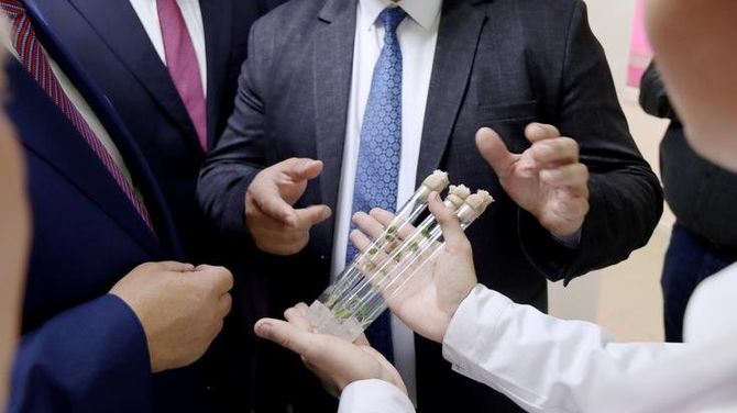 В Новосибирской области прошло заседание рабочей группы по развитию АПК Сибири