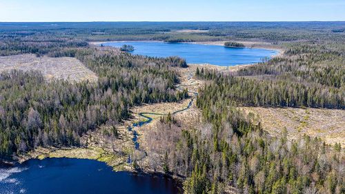 Правительство РФ утвердило обновленный перечень районов Крайнего Севера и приравненных к ним территорий