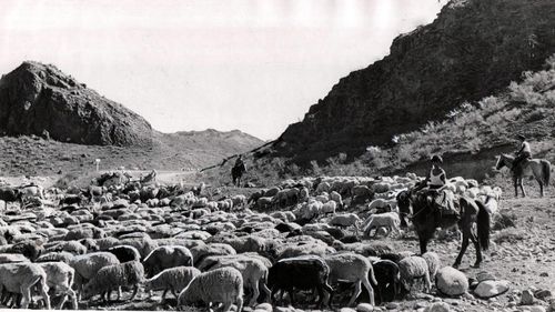 МАЛДЫГ, БАЙ ӨВҮРГЕ БАЙЫРЛАЛ