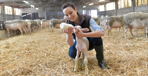Запускается всероссийский карьерный марафон в агро