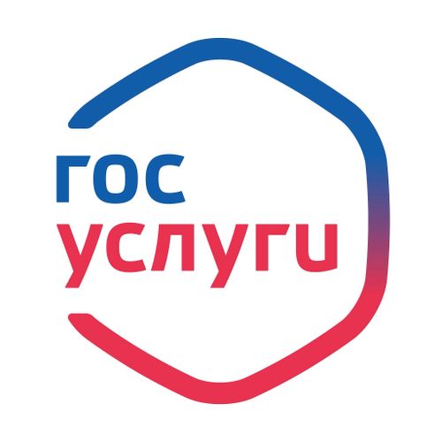 В 2022 году Правительство РФ планирует запустить три новых суперсервиса на портале госуслуг