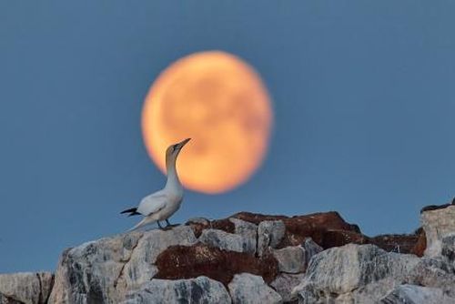 Фотографов Тувы приглашают принять участие в фотоконкурсе «Самая красивая страна»