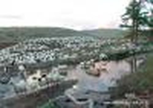 …И личный скот признали «лишним»