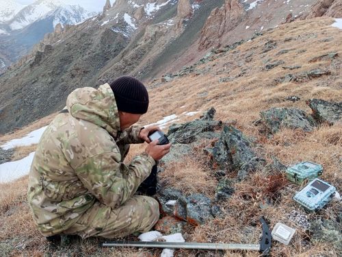 Инспекторы парка «Шуй» используют современные фотоловушки для защиты редких снежных барсов