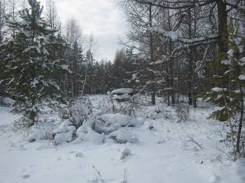В Пий-Хемском районе нашли два сельхозучастка, нарушающих земельный закон РФ