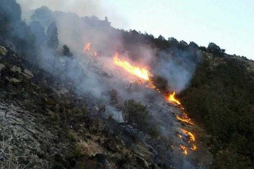 В Чеди-Хольском районе ввели режим ЧС 