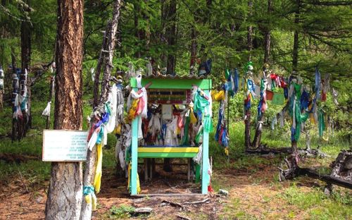 Школьники села Ак-Тала расширили кругозор благодаря акции Движения «Открытие Первых»