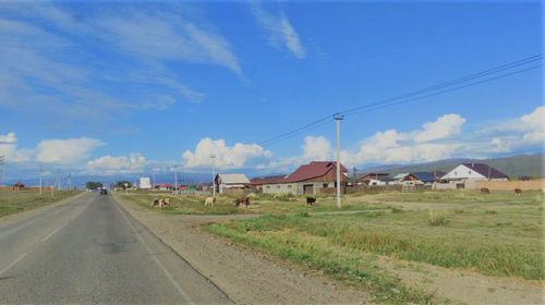 Минсельхозпрод Тувы напоминает жителям о необходимости ответственно относиться к содержанию сельскохозяйственных животных