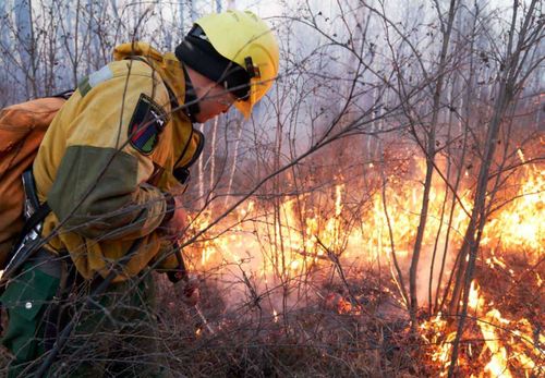 В республике предупредили об опасности пожаров с наступлением тепла