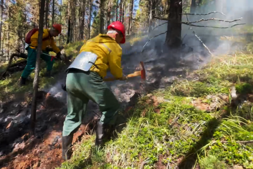 Неделя дургузунда 20 өрттү өжүрген