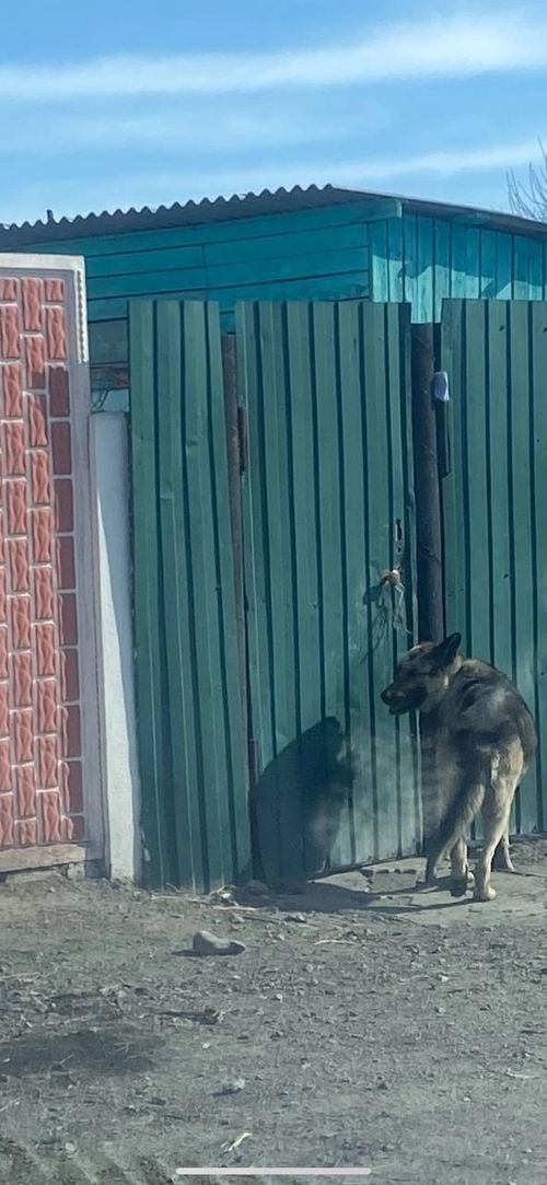 Защита благополучия и безопасности