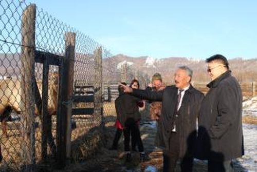 Министр сельского хозяйства и продовольствия Тувы Сергей Ондар ушел в отставку