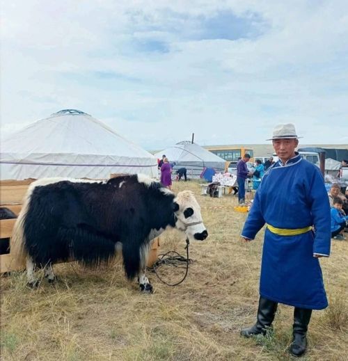«Наадым-2024» малчыннар байырлалының чемпиону – Тес-Хем кожуундан сарлыкчы Омак Ак-оол