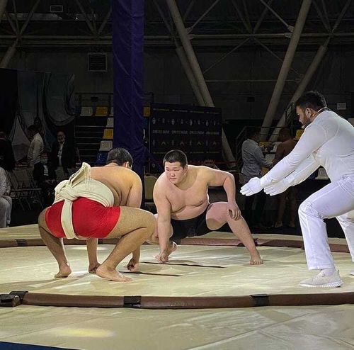 Соревнования по сумо: Названы имена первых победителей