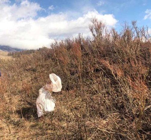На чабанской стоянке нашли мешок с килограммом марихуаны
