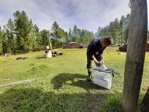 В отдалённых районах Тувы стартовало досрочное голосование на выборах депутатов в Верховный Хурал республики